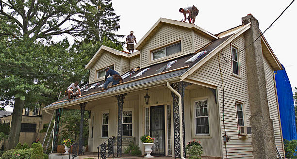 Best Roof Gutter Cleaning  in Clifton, NJ